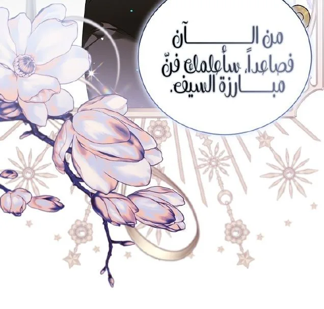 الصفحة 29