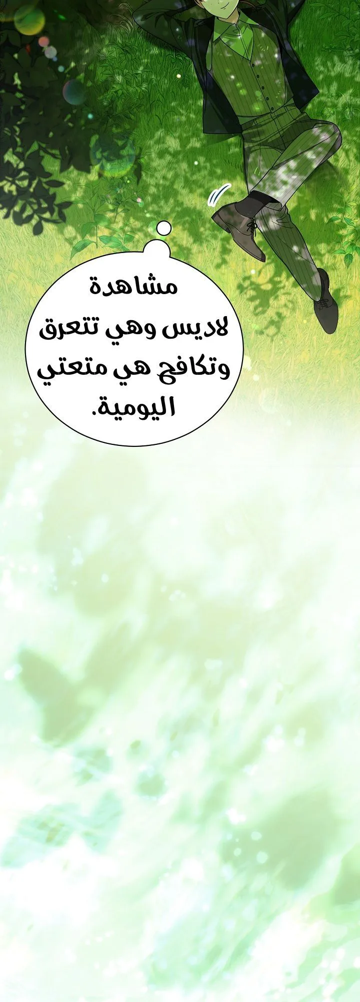 الصفحة 13