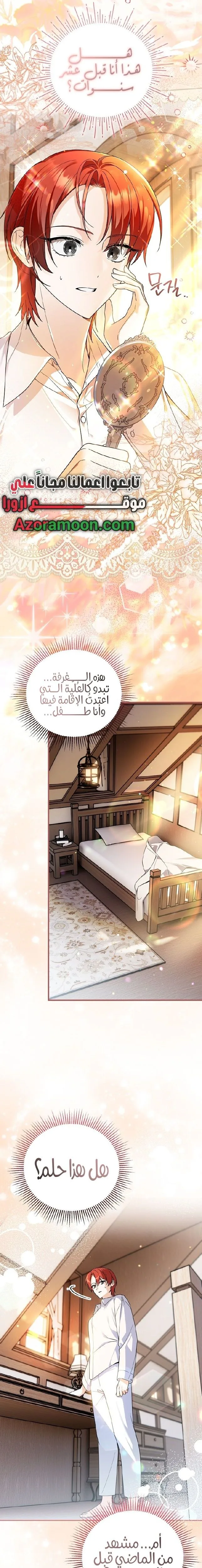 الصفحة 21