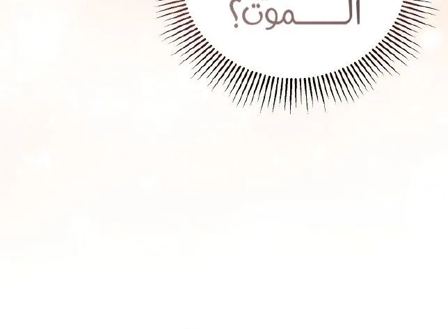الصفحة 22