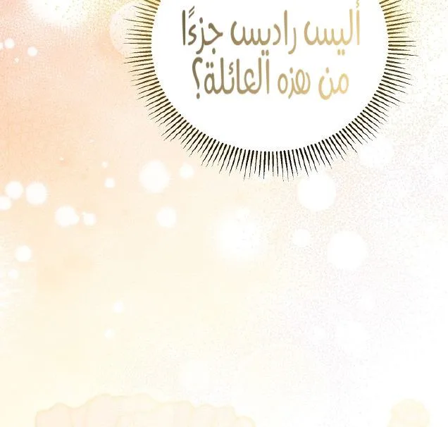 الصفحة 28