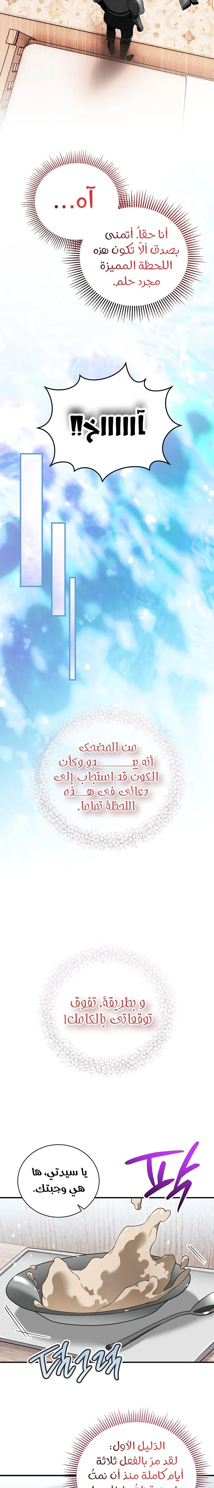 الصفحة 25