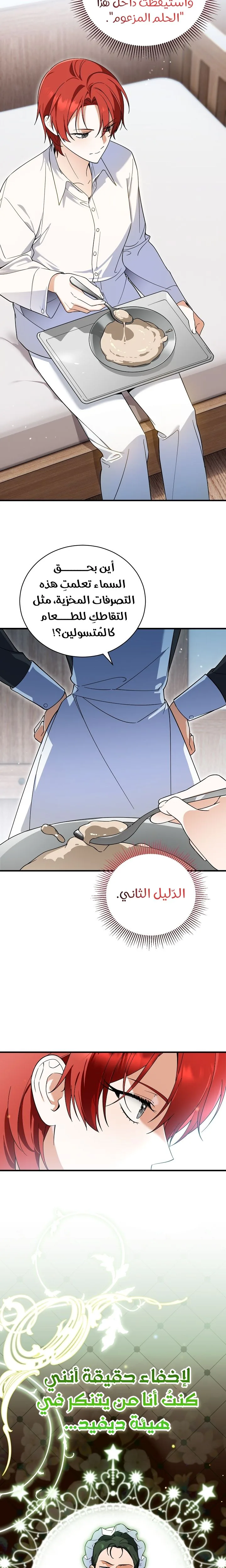 الصفحة 26