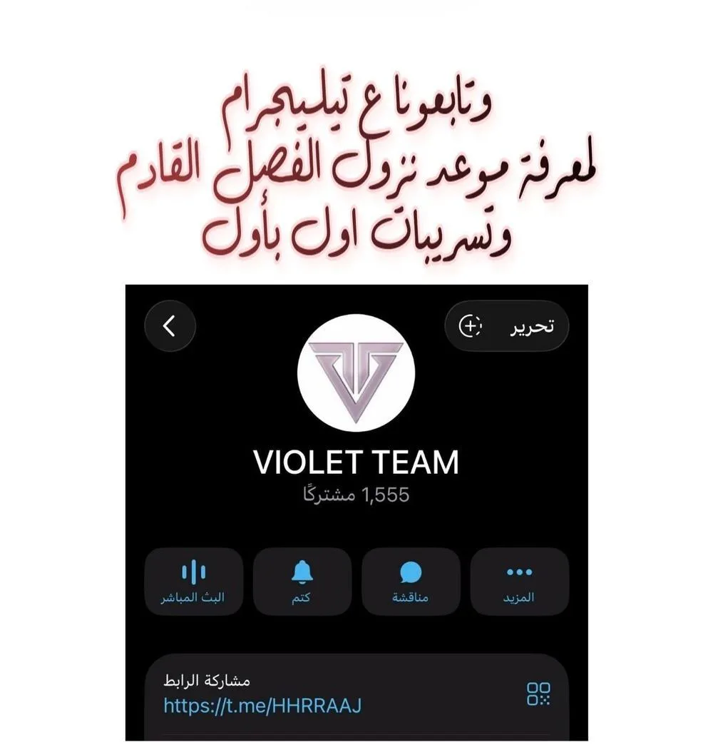 الصفحة 27
