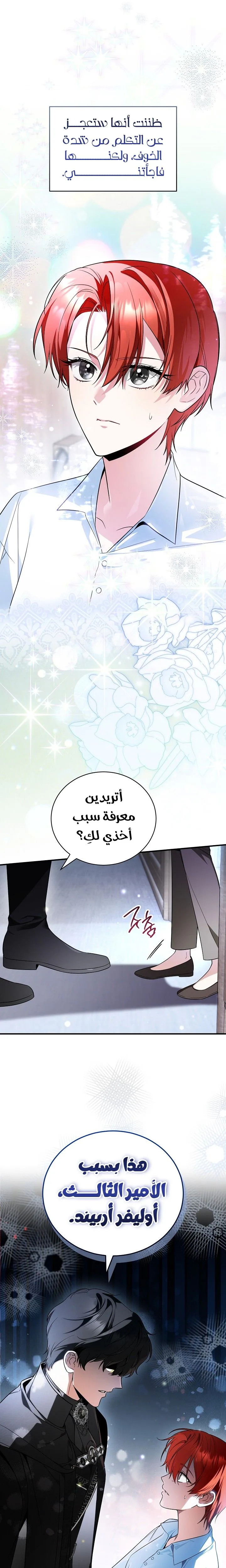 الصفحة 14