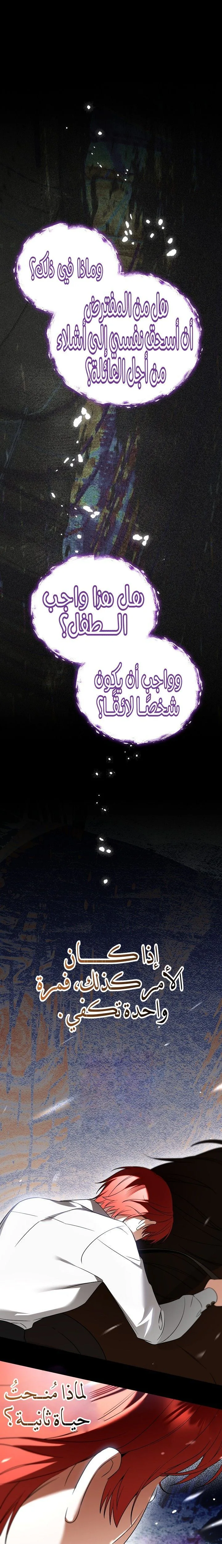الصفحة 27