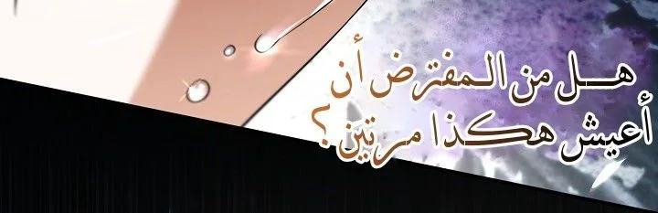 الصفحة 28