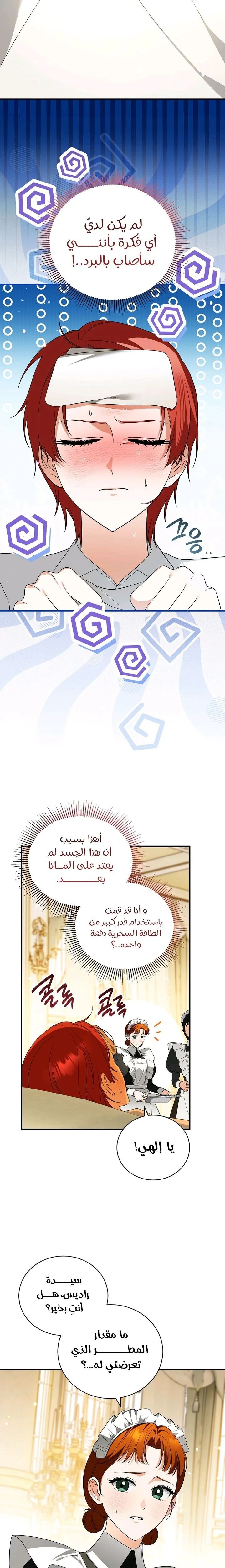 الصفحة 17