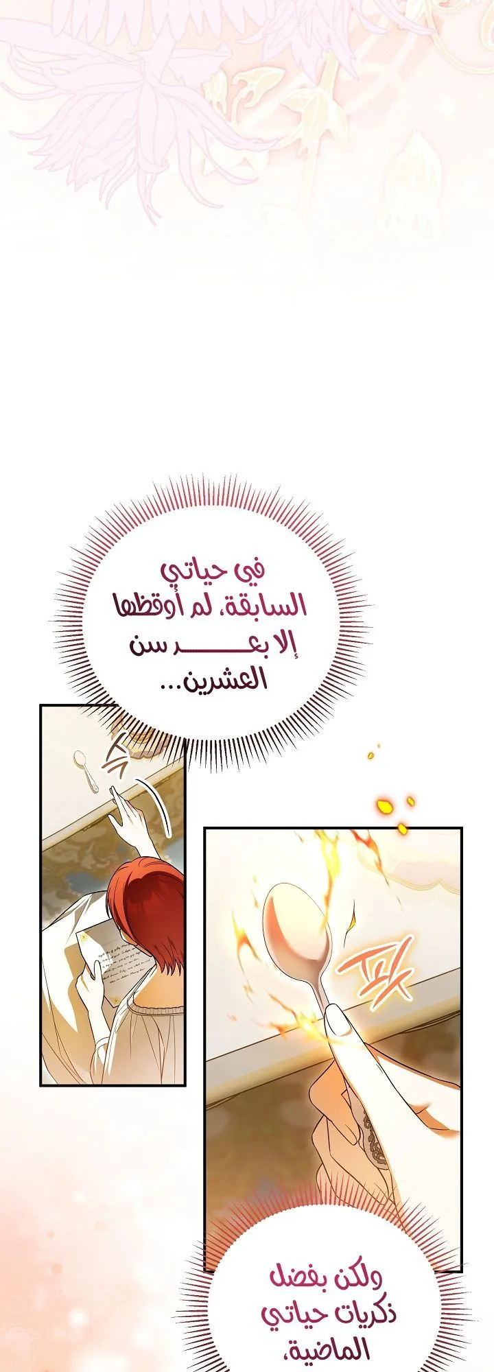 الصفحة 13
