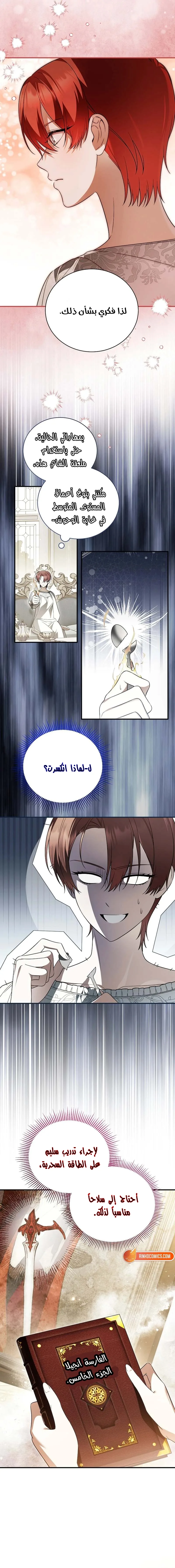 الصفحة 17