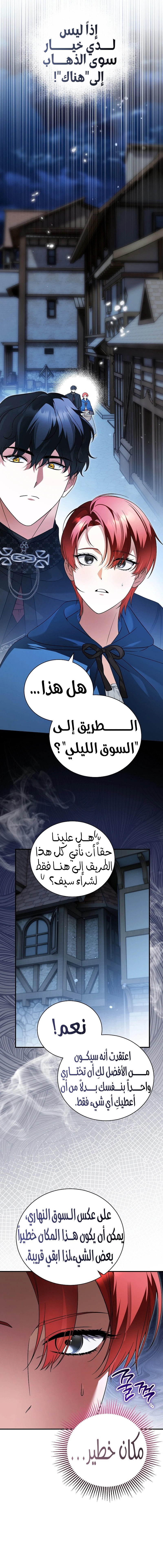 الصفحة 13