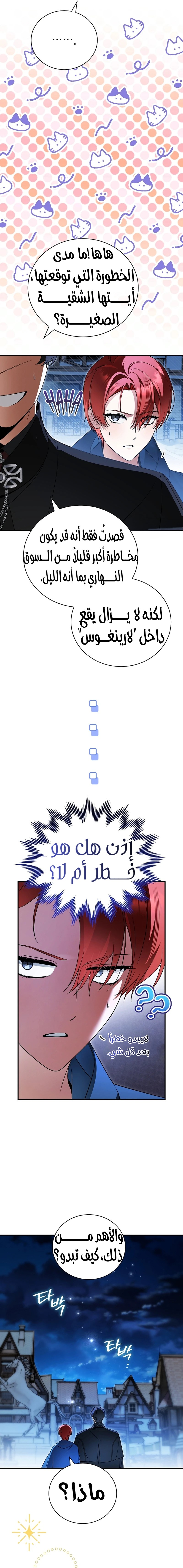 الصفحة 16