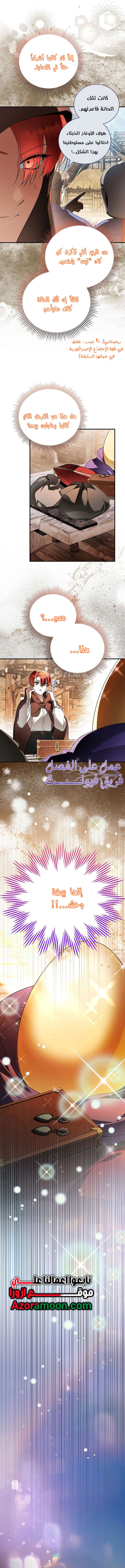 الصفحة 17