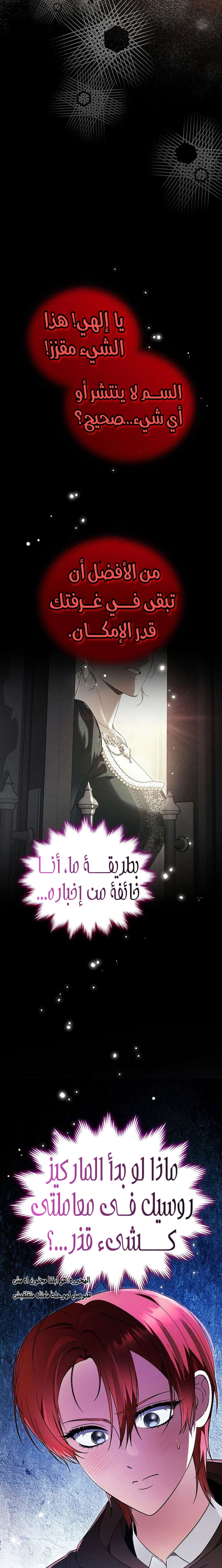 الصفحة 25