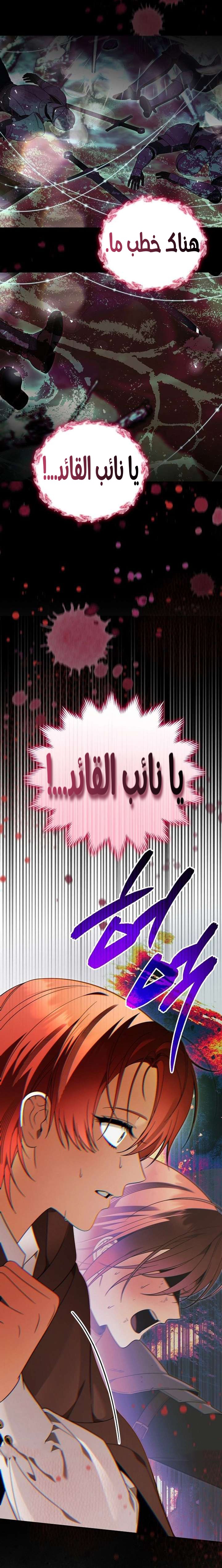 الصفحة 28