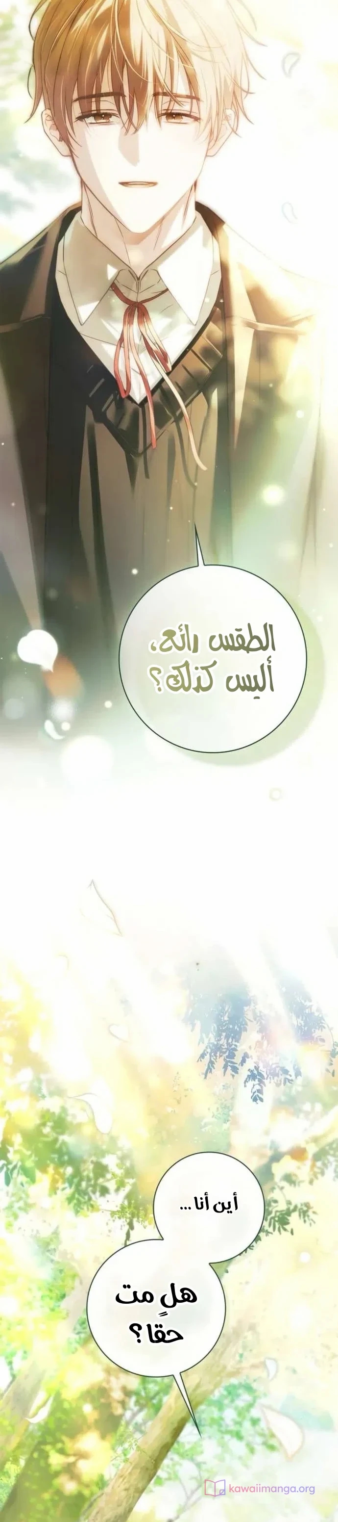 الصفحة 10