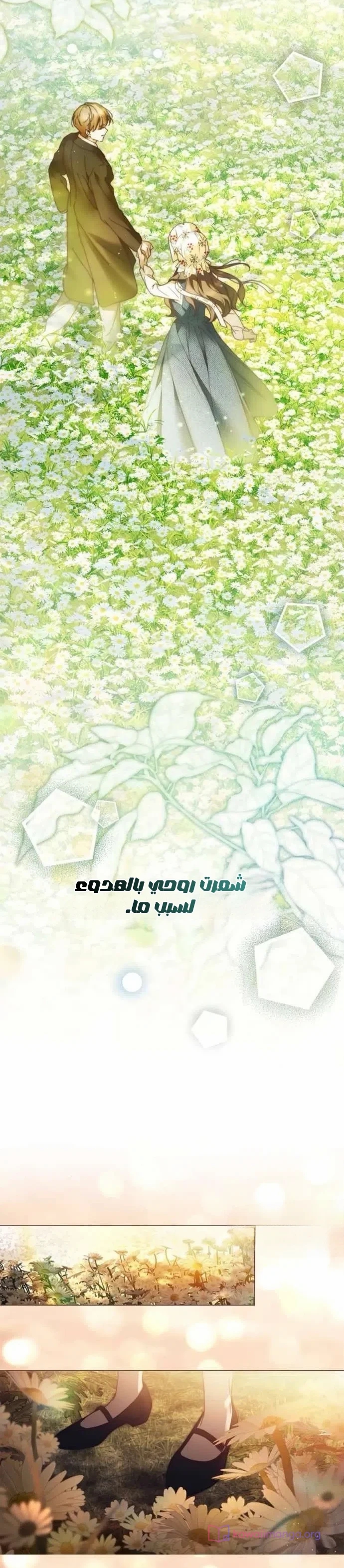 الصفحة 15
