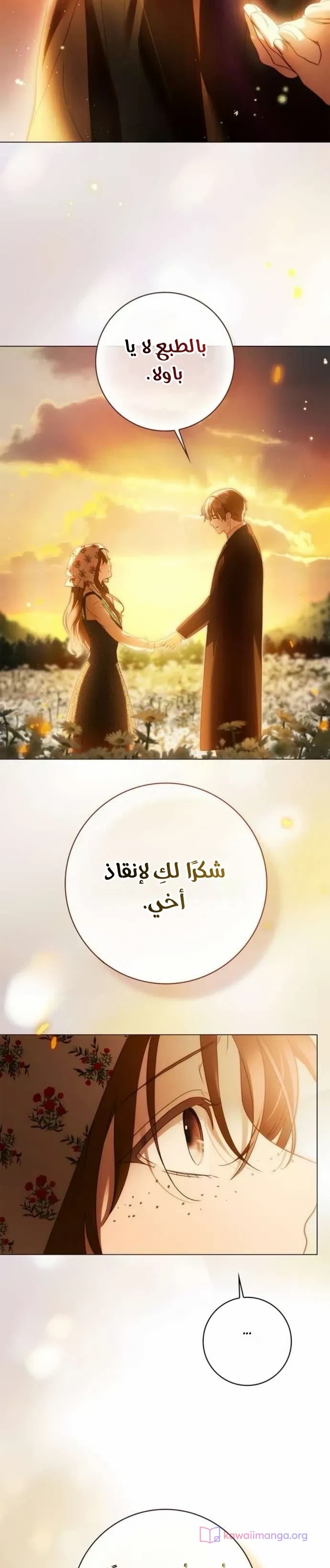 الصفحة 17