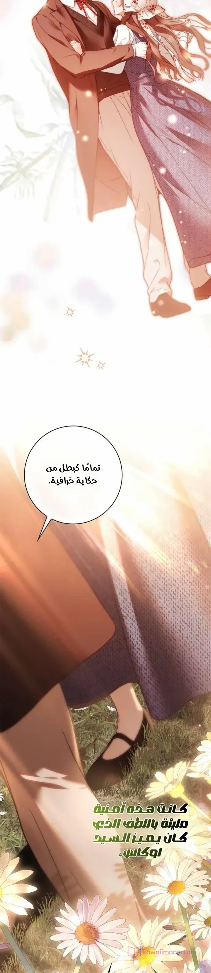 الصفحة 25