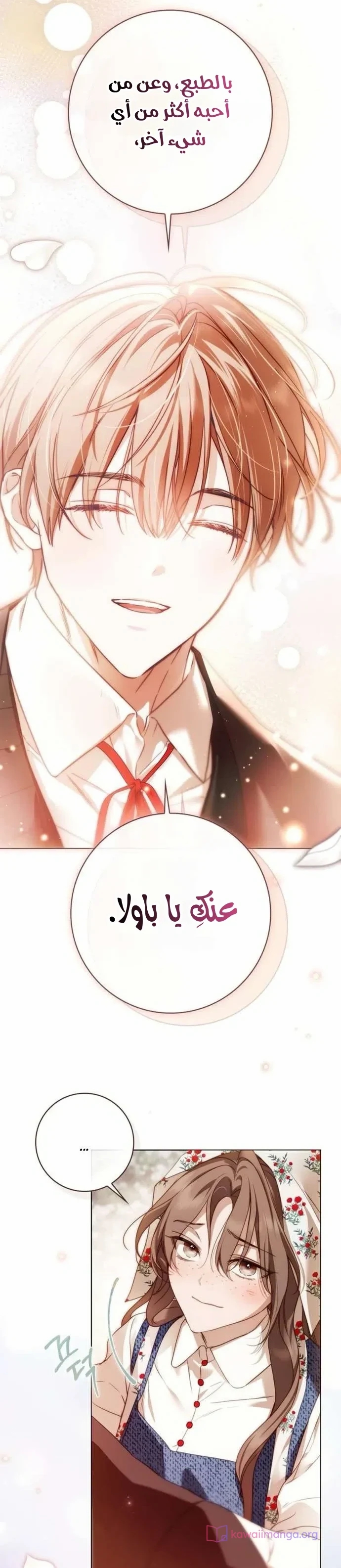 الصفحة 29