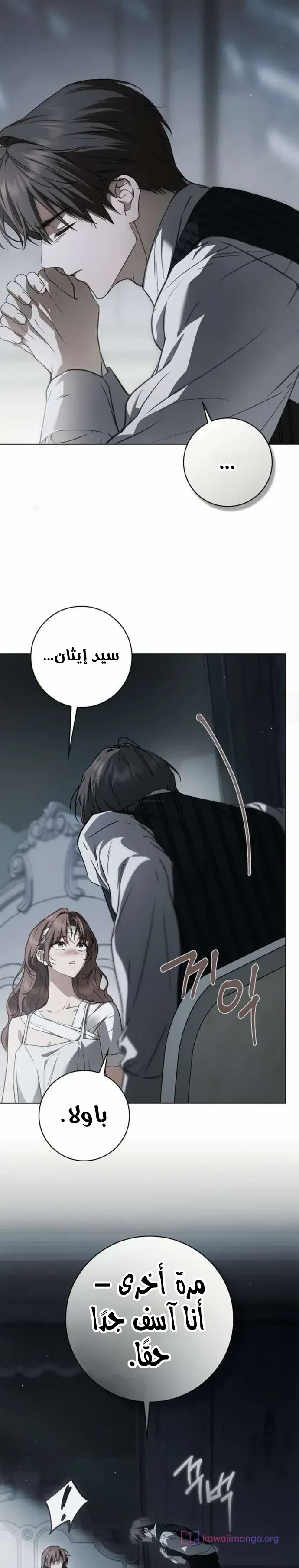الصفحة 17