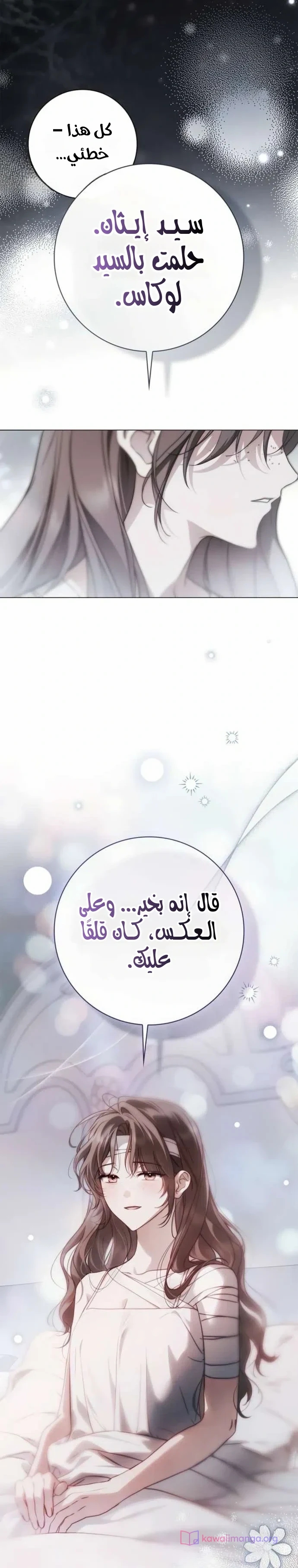 الصفحة 19