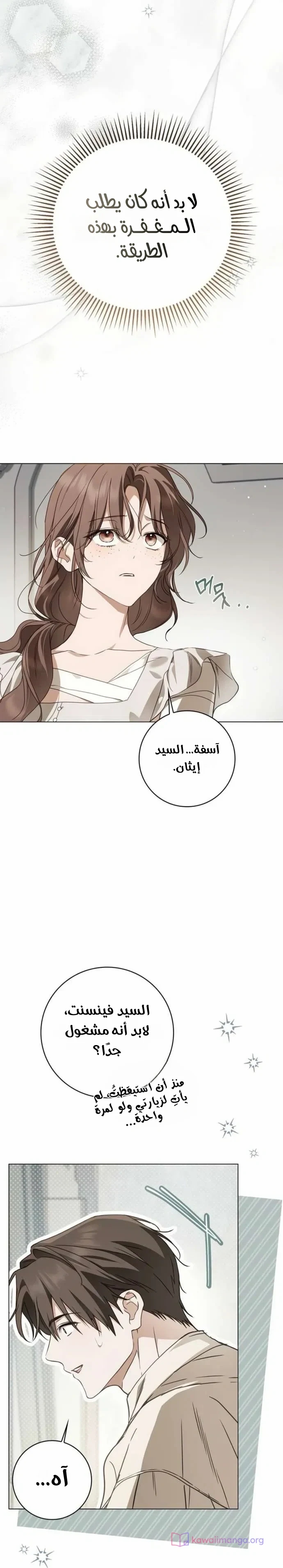 الصفحة 29