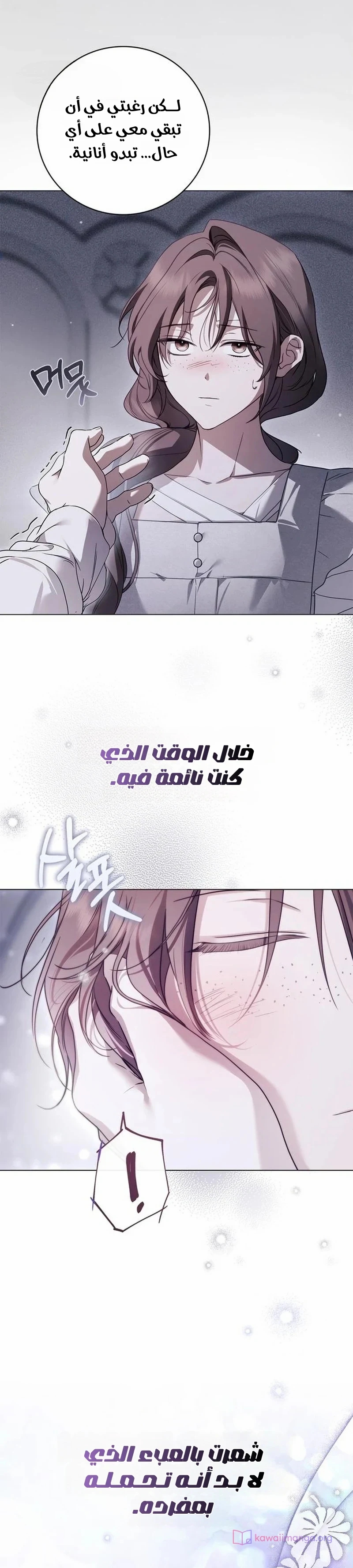 الصفحة 25