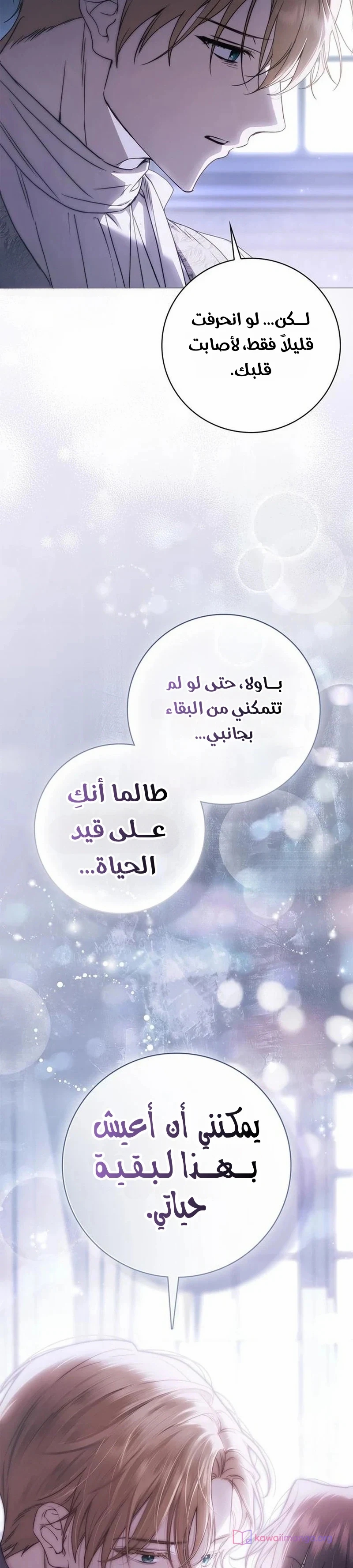 الصفحة 27