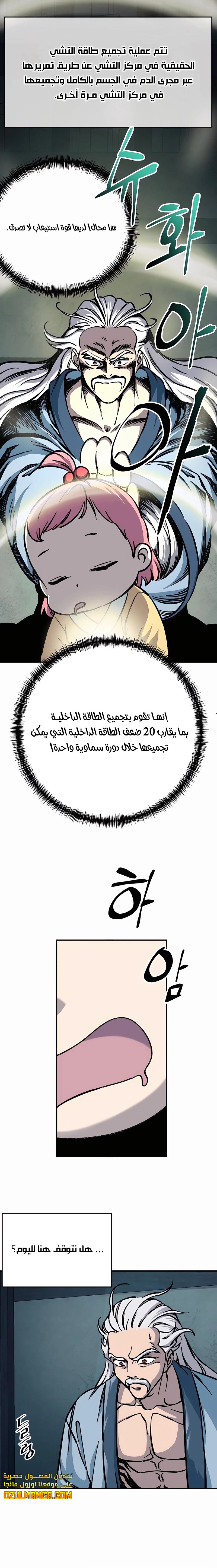 الصفحة 25