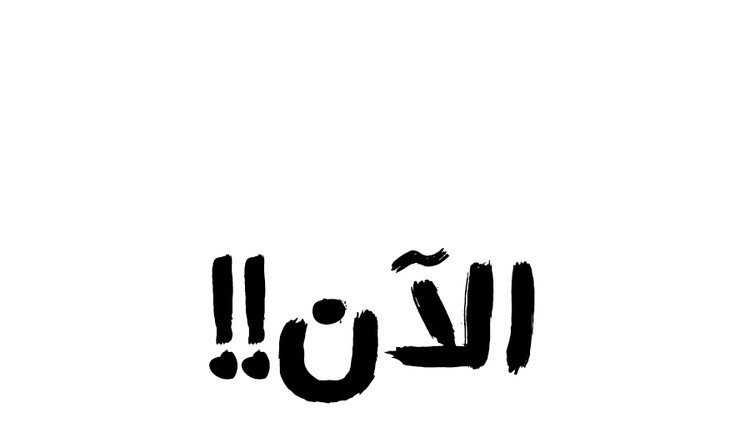 الصفحة 25