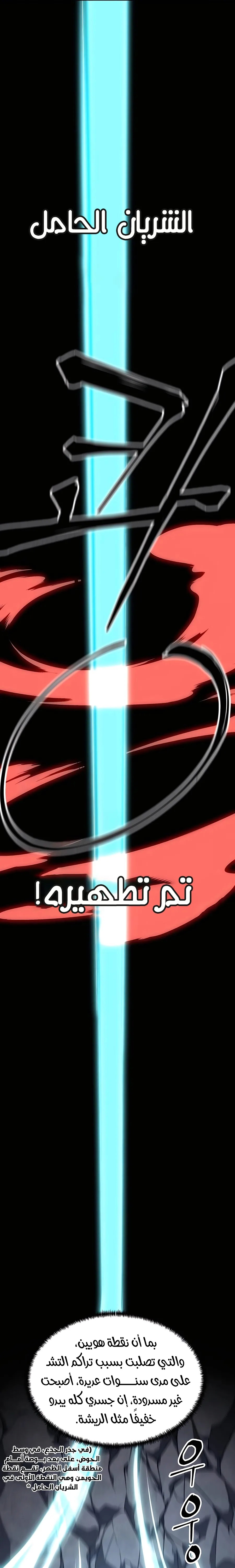 الصفحة 19