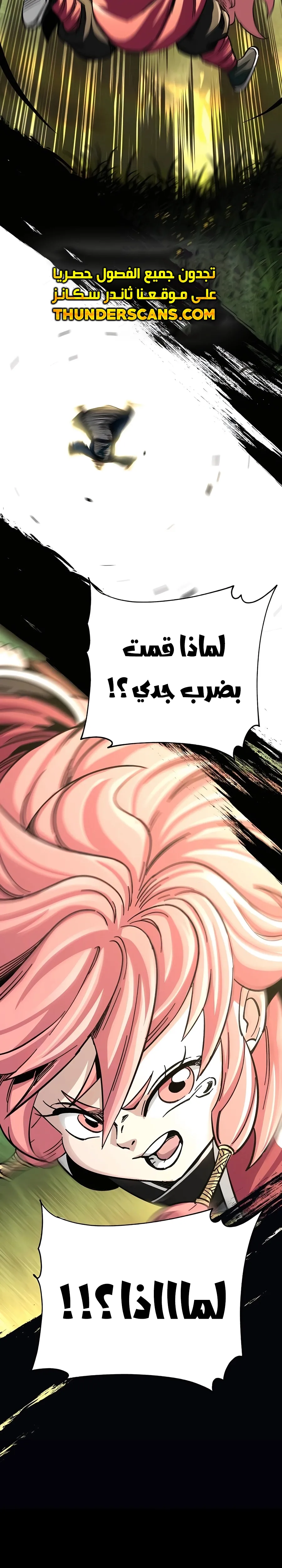 الصفحة 38
