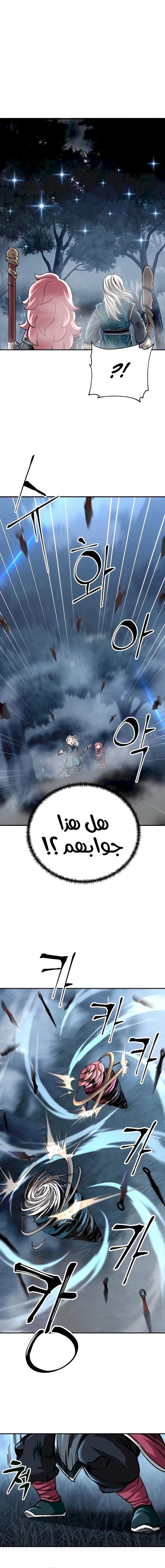 الصفحة 17