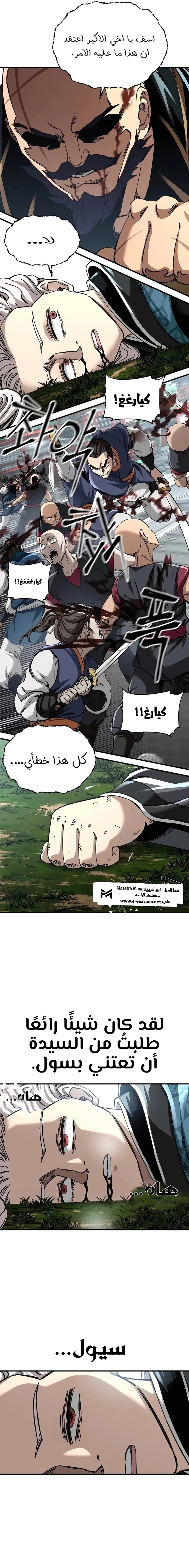 الصفحة 17