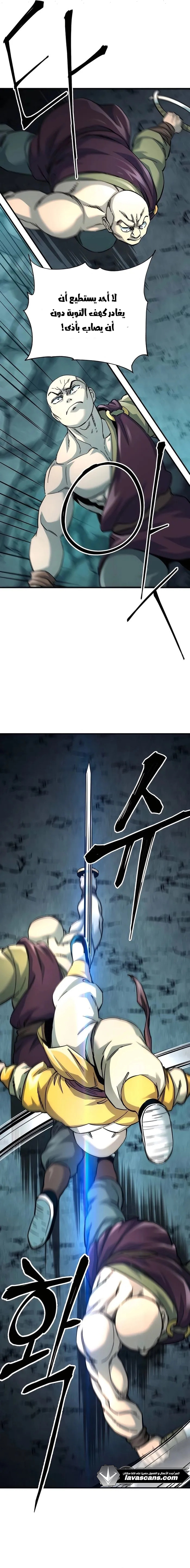 الصفحة 13