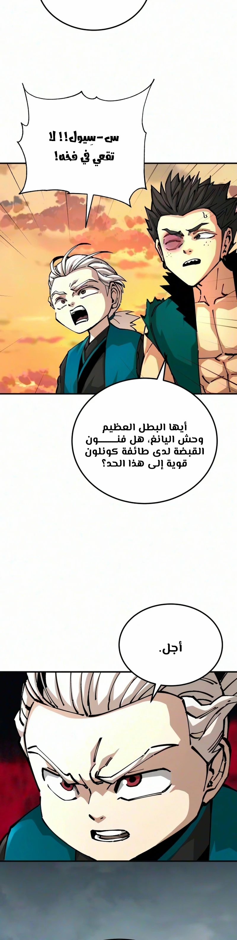 الصفحة 17