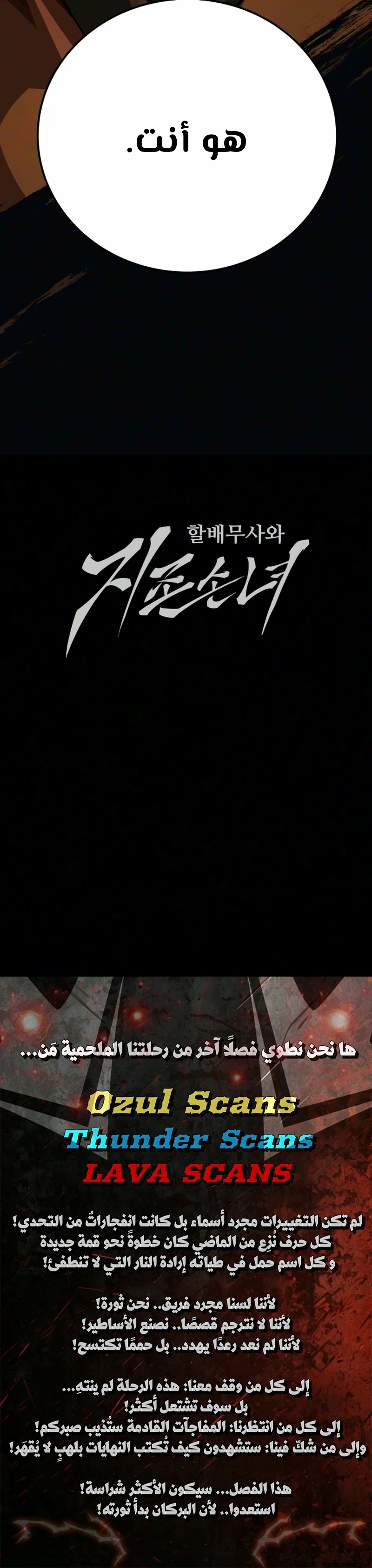 الصفحة 17