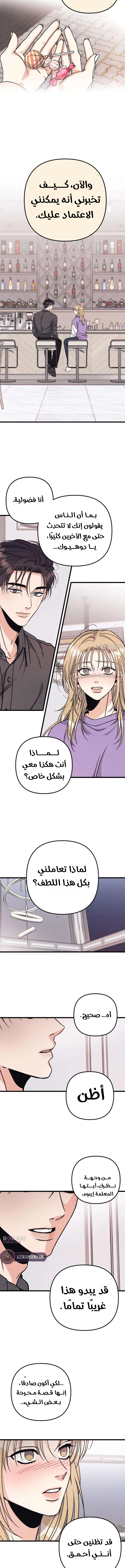 الصفحة 15