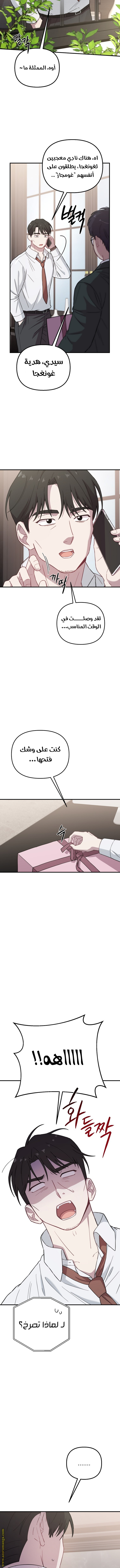 الصفحة 3