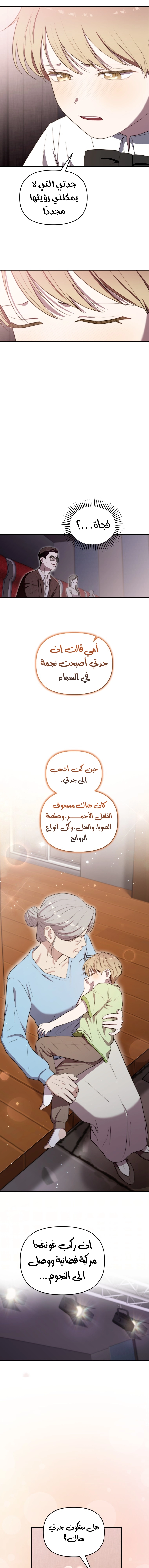 الصفحة 17