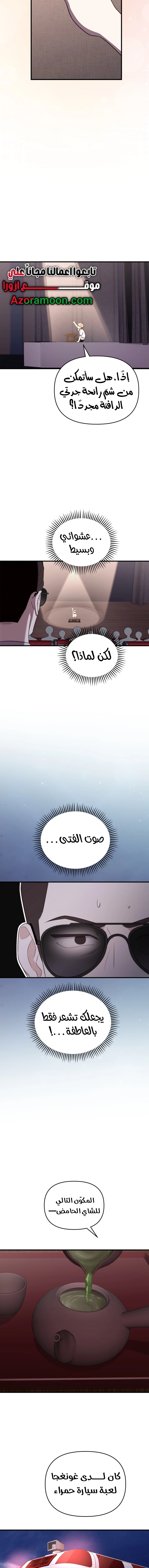 الصفحة 19