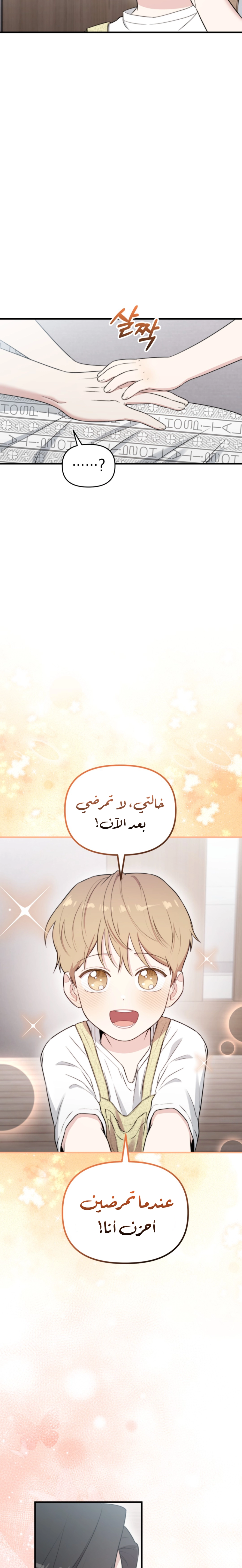 الصفحة 26