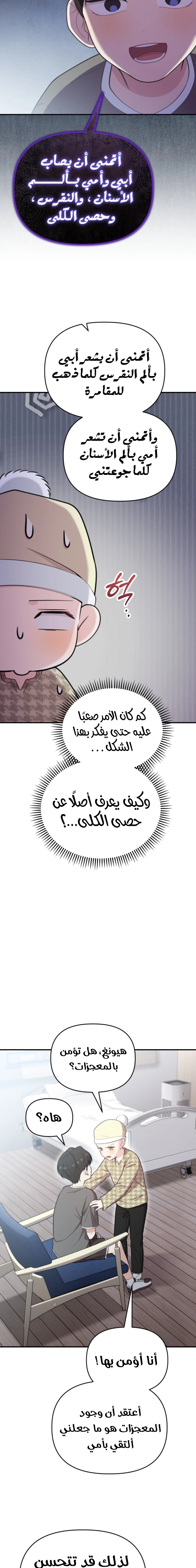 الصفحة 17