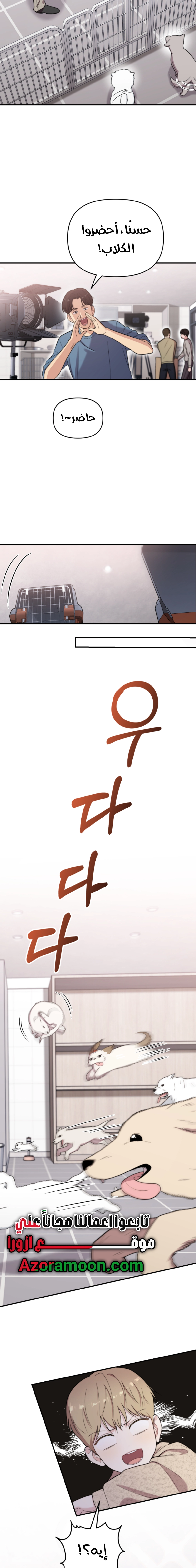 الصفحة 15