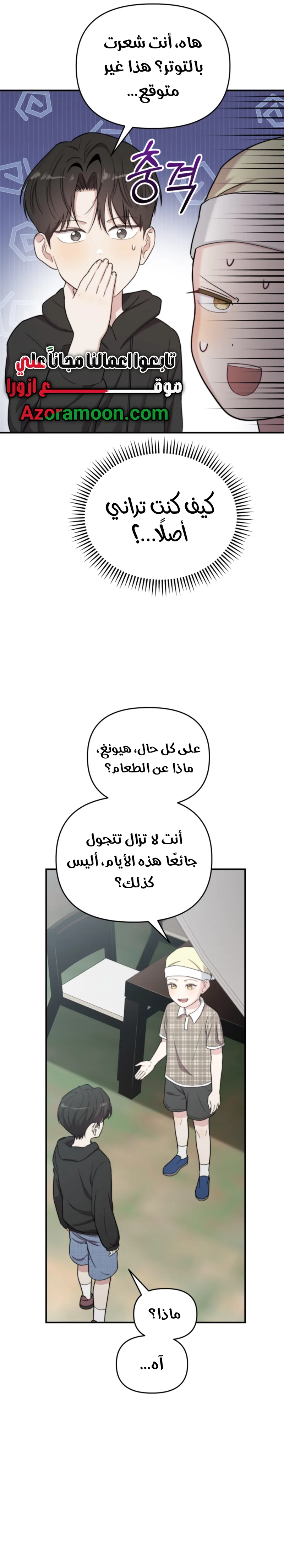الصفحة 17