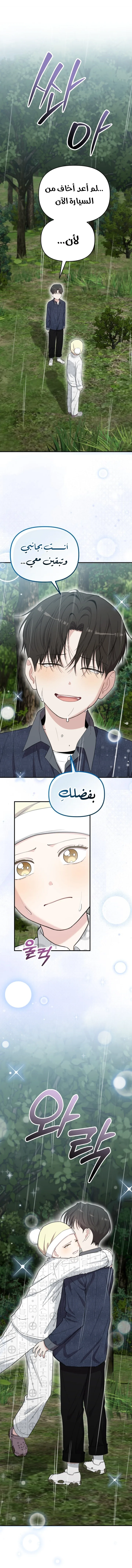 الصفحة 15