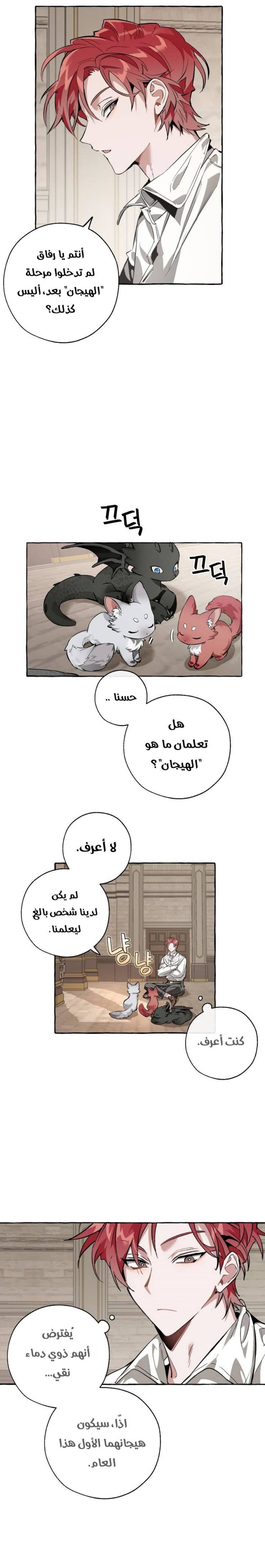 الصفحة 4