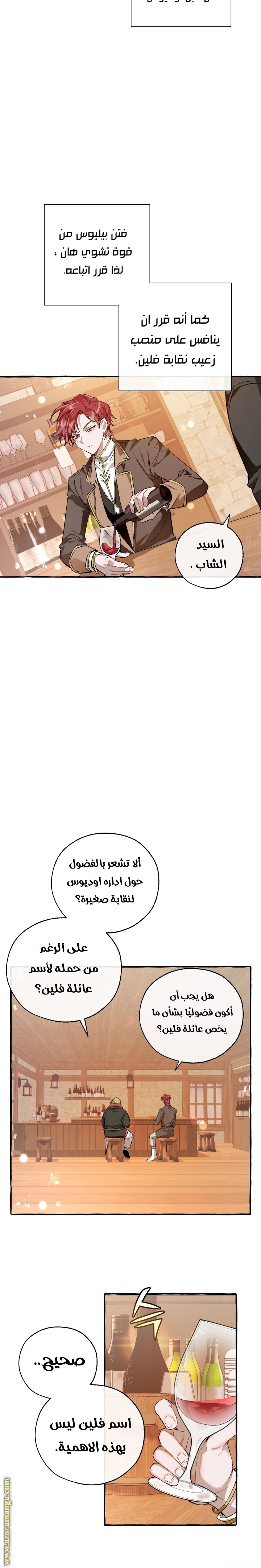 الصفحة 17