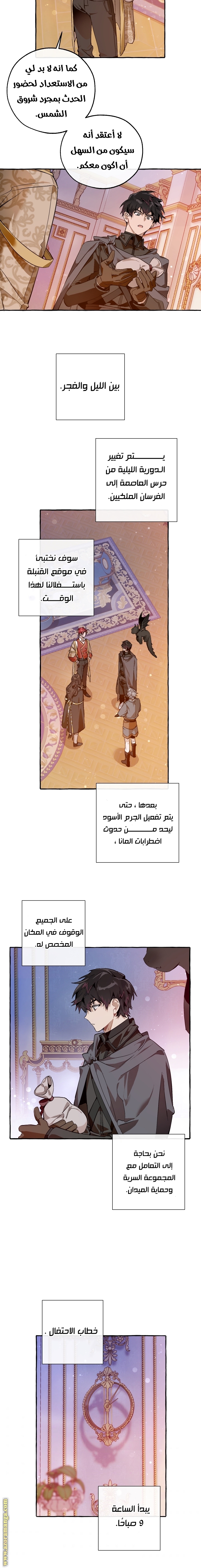 الصفحة 11